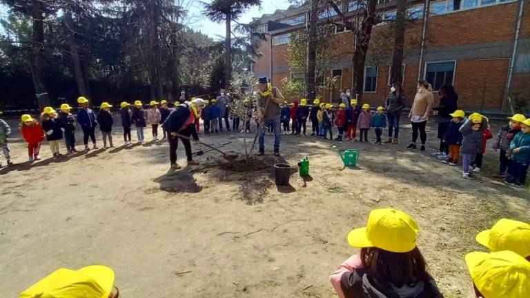 La giornata degli alberi nelle scuole di Ravenna e Russi