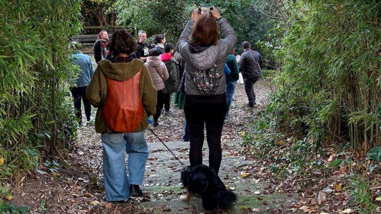 Cesena, camminate naturalistiche a Villa Silvia: il 22 marzo un nuovo appuntamento