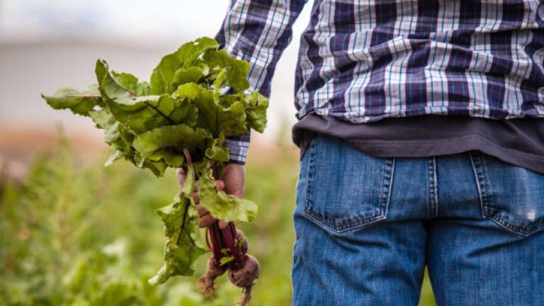 Cia Romagna e gli agricoltori di Cesena in protesta