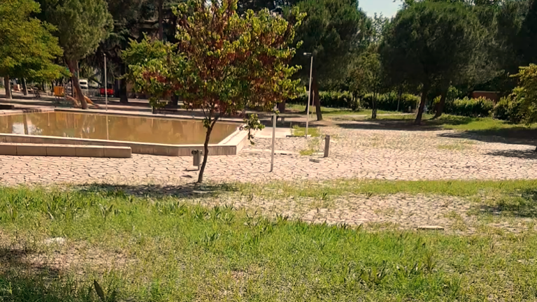 Cesena. Approvato il progetto per il Giardino 11 settembre