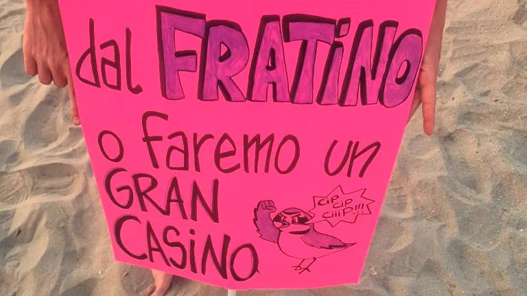 Rimini. In 130 in spiaggia a difesa del fratino