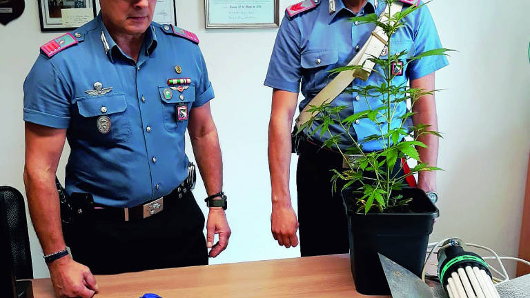 Bancario 47enne arrestato a Bellaria Igea Marina con 40 grammi di coca