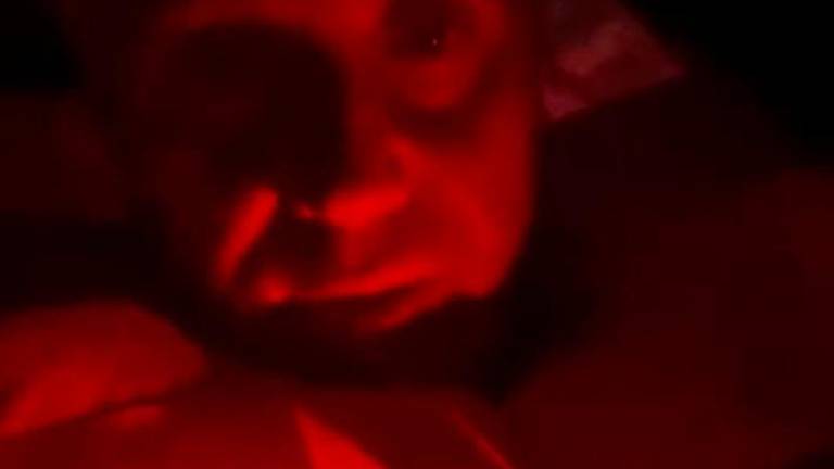 Il senatore riminese Marco Croatti mentre indossa il giubbotto di salvataggio in seguito agli attacchi di droni