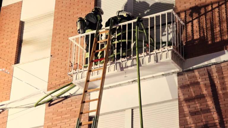 Bellaria. Incendio in una palazzina, salvati un cocorito e un canarino