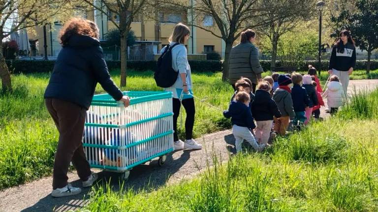 Faenza, cooperative sociali romagnole in assemblea