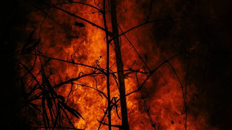 Incendi: stato di grave pericolosità fino al 29 agosto in Emilia-Romagna e San Marino