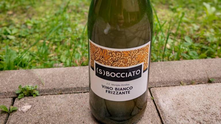 Ravenna, all’istituto agrario arriva il vino (S)Bocciato