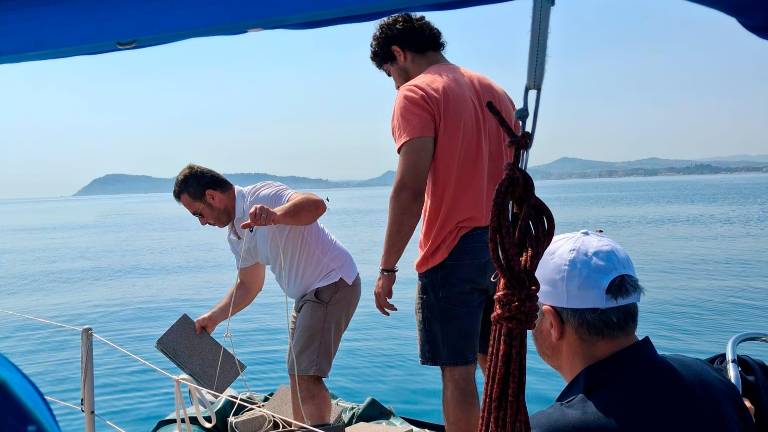 Riccione arruola i polpi per sconfiggere il granchio blu