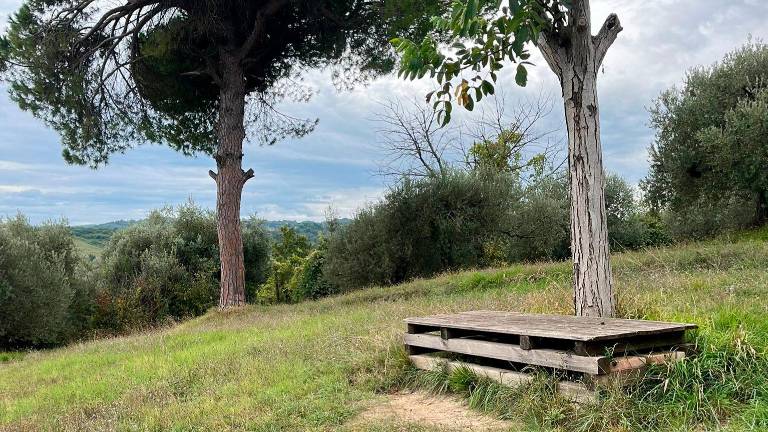 Tra sport, salute storia e natura: domenica scatta il secondo “Eco - Trail” a Cesena FOTOGALLERY