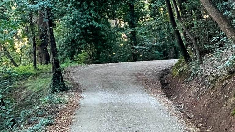 Tra sport, salute storia e natura: domenica scatta il secondo “Eco - Trail” a Cesena FOTOGALLERY