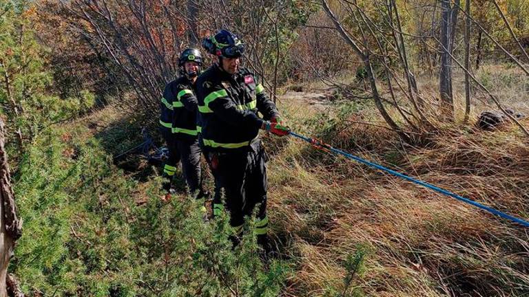 Valmarecchia. Cane precipita in un dirupo sul monte Pincio: salvato dai vigili del fuoco dopo 4 ore