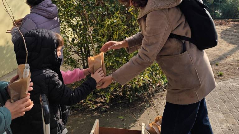 Bertinoro, celebrata la Giornata dell’Albero