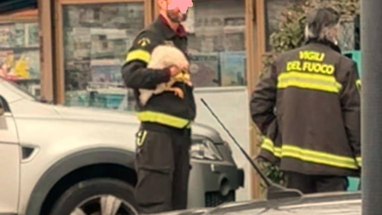 I vigili del fuoco con la gallina in mano dopo averla recuperata