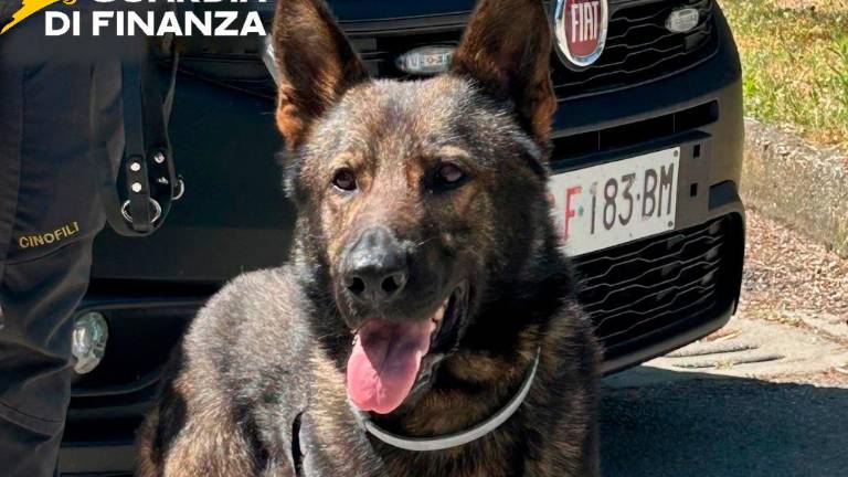 Ravenna, controlli della Guardia di finanza e denunce per spaccio