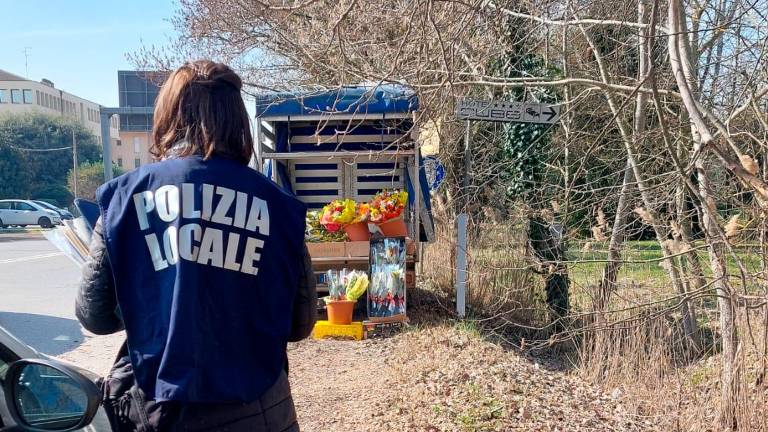 Ravenna, 8 marzo dal conto salato: multa di oltre mille euro al venditore abusivo di mimose