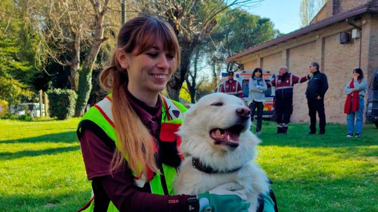 Ravenna, esercitazione con le unità cinofile GALLERY