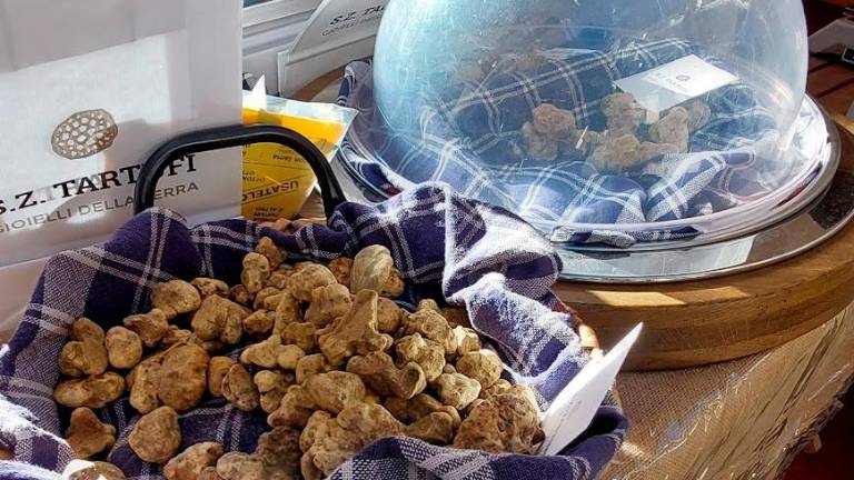 Sant’Agata Feltria, alla fiera si premia il miglior tartufo