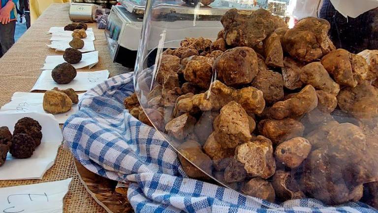 Sant’Agata Feltria, alla fiera si premia il miglior tartufo