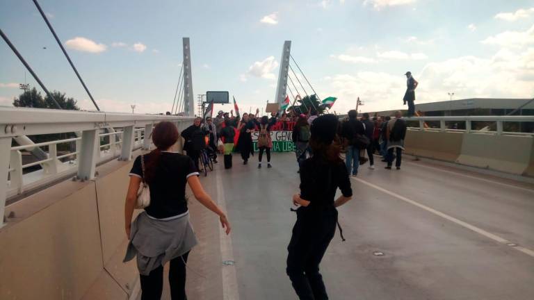 Foto e video Massimo Fiorentini