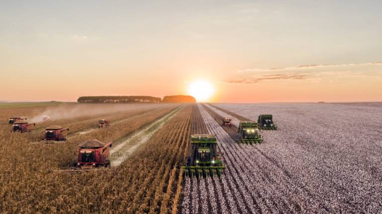 Negli ultimi 9 anni le imprese agricole sono diminuite del 22,6% nel Cesenate