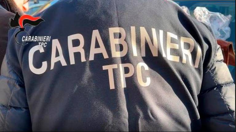 La maxi-truffa dei “tombaroli” contro il patrimonio archeologico: un arresto anche a Forlì