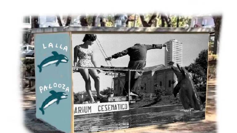 Dai delfini all’omaggio a Giorgio Ghezzi: Cesenatico si fa più bella