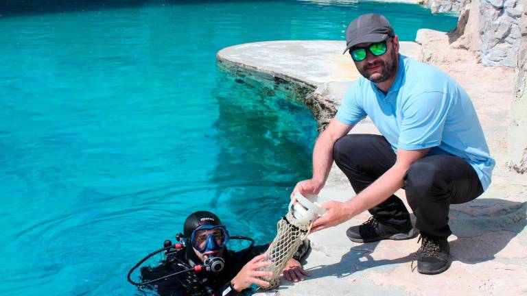 Al lavoro per registrare i suoni emessi dai delfini