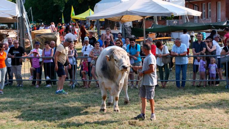 La Fiera agricola dell’anno scorso