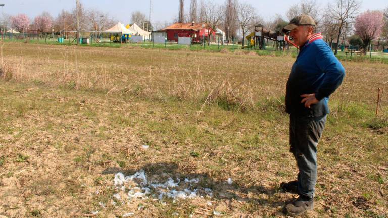 Ancora Gabriele Pedrelli sul punto dove sono state ritrovate le piume