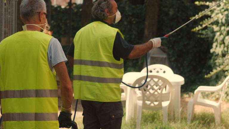 Ravenna. Allarme rientrato: non è Dengue. Sospesa la disinfestazione