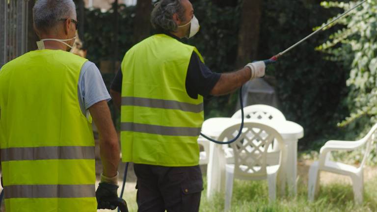 Ravenna, rientra l’allarme virus. L’Ausl: «Non è Dengue»