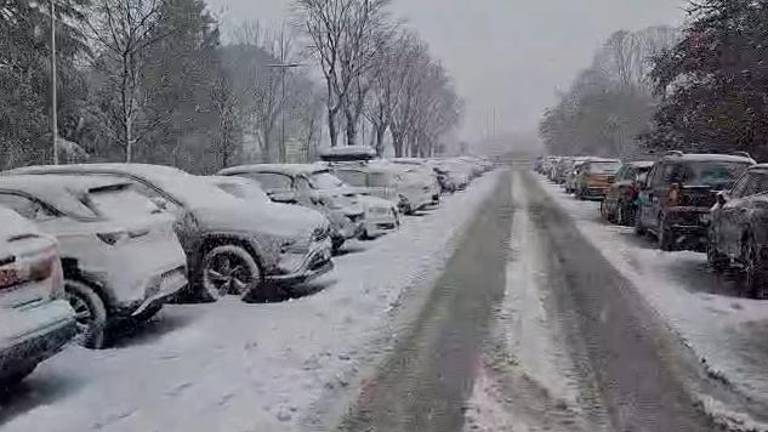Neve a Forlì, l’assessore Petetta: “Situazione sotto controllo”