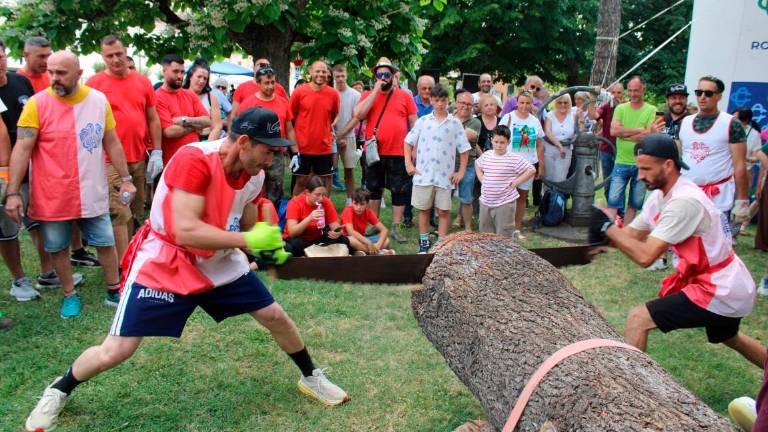 Longiano, Palio Ciliegia: vince ancora il Montilgallo con Signani