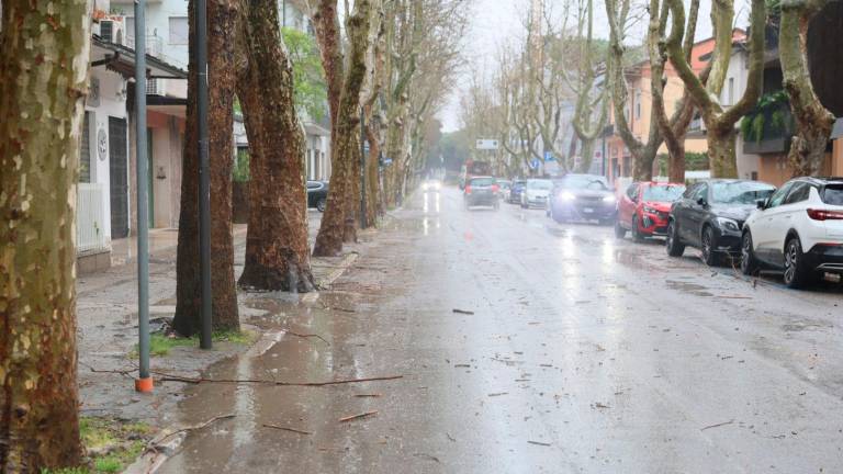 Meteo Romagna, vento a 90 km/h: danni sul territorio. In mare onde sopra i 3 metri VIDEOGALLERY