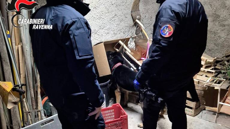 I carabinieri durante l’operazione