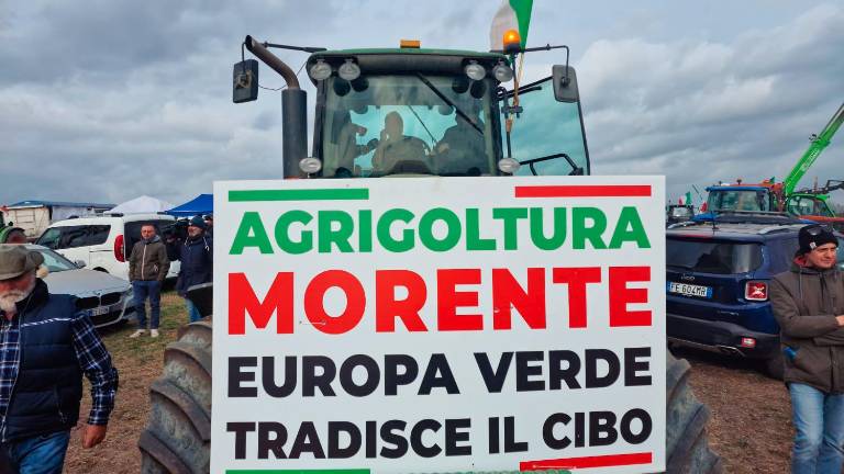 Tasse, rincari e calamità: agricoltori in grande difficoltà