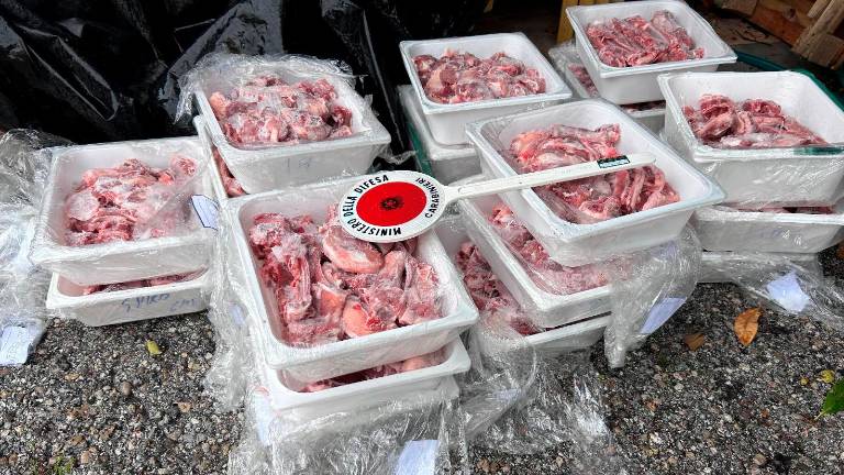 Rimini, carne di agnello non sicura verso Pasqua: oltre 50 chili sequestrati e distrutti, multe per 1.500 euro