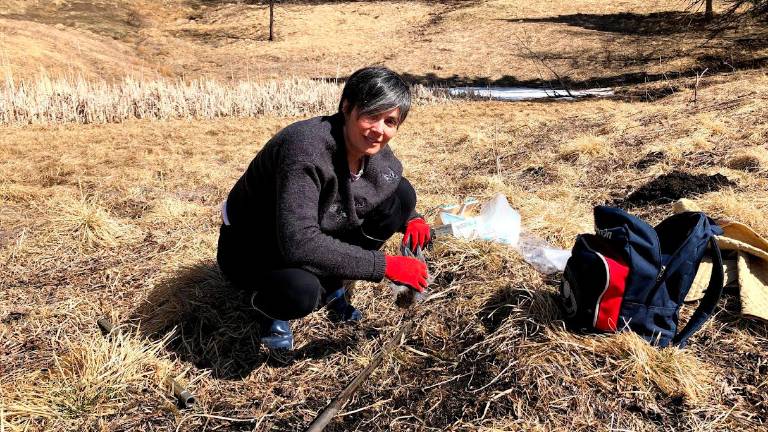 Dalle barene di Venezia all’Adriatico: il telerilevamento svela i cambiamenti