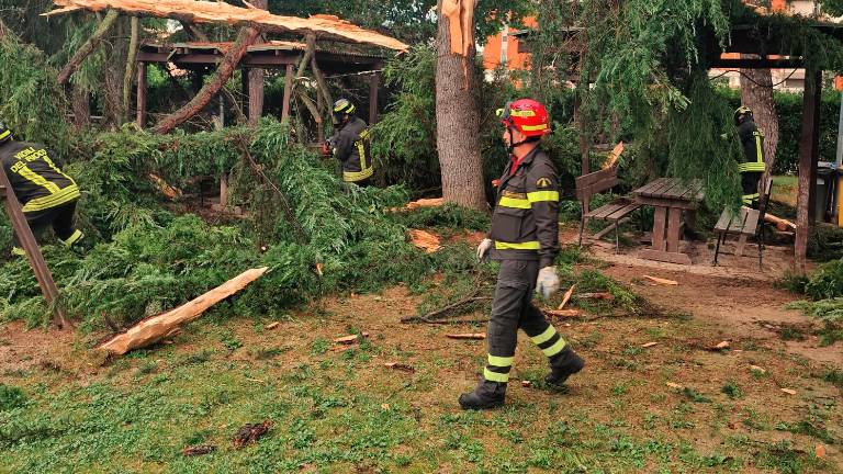 Cesena. Fulmine si abbatte su un albero, paura al circolo di Case Finali