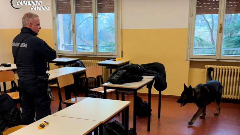 Faenza, i cani antidroga nelle classi alle scuole superiori