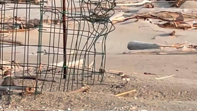 Un frame del video pubblicato da Sottomarino 54