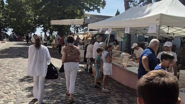 Madonna del Monte: tantissimi i fedeli in ascesa dalle Scalette per l’Assunta a Cesena