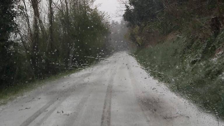 Cesena, neve in collina: riattivato il piano neve