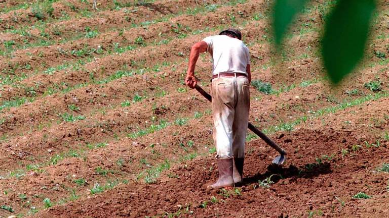 L’agricoltura è uno dei sottori maggiormente colpito dall’emergenza caldo