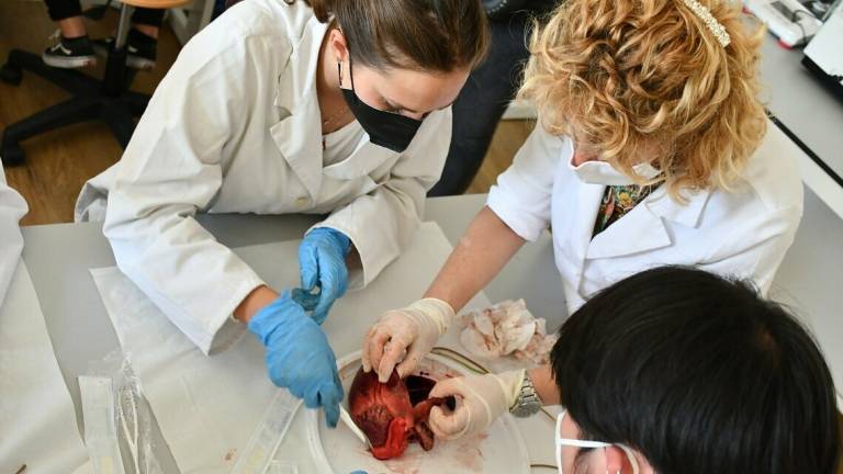 Prima lezione pratica di anatomia per gli studenti di Medicina FOTO