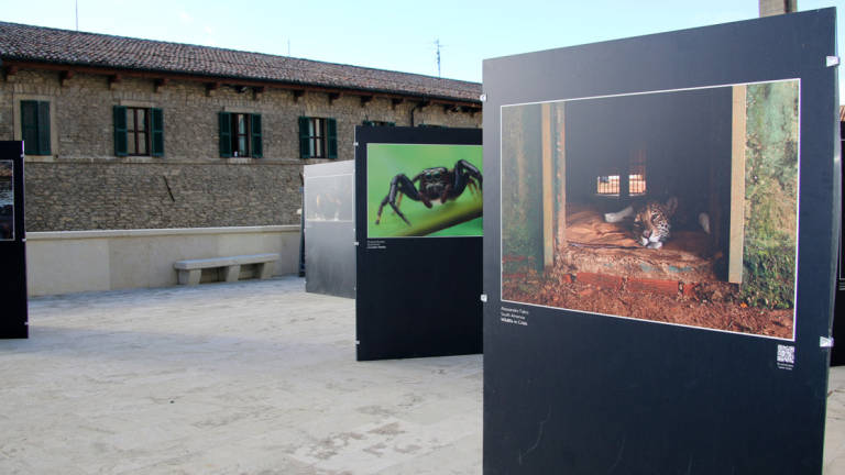 A San Marino da Monaco in mostra il Premio di fotografia ambientale
