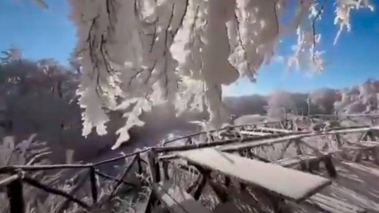 Campigna, finalmente l’inverno e lo spettacolo della neve al passo della Calla VIDEO