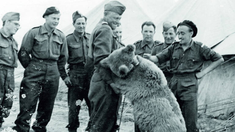 Liberazione Forlì, coi soldati polacchi anche un orso