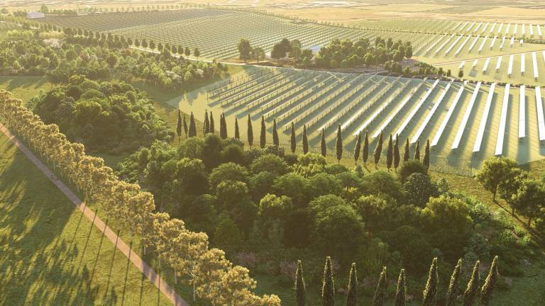 Un impianto agrivoltaico da 22.296 pannelli bifacciali e rialzati tre metri da terra sarà pronto entro l’estate