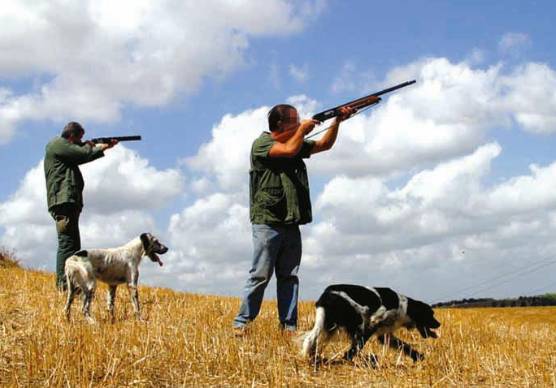 Caccia in Emilia-Romagna, i proprietari dei terreni la potranno vietare assistiti da Animal Liberaton